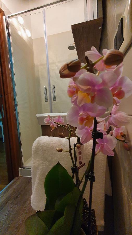My Dream House Apartment Angri Ngoại thất bức ảnh